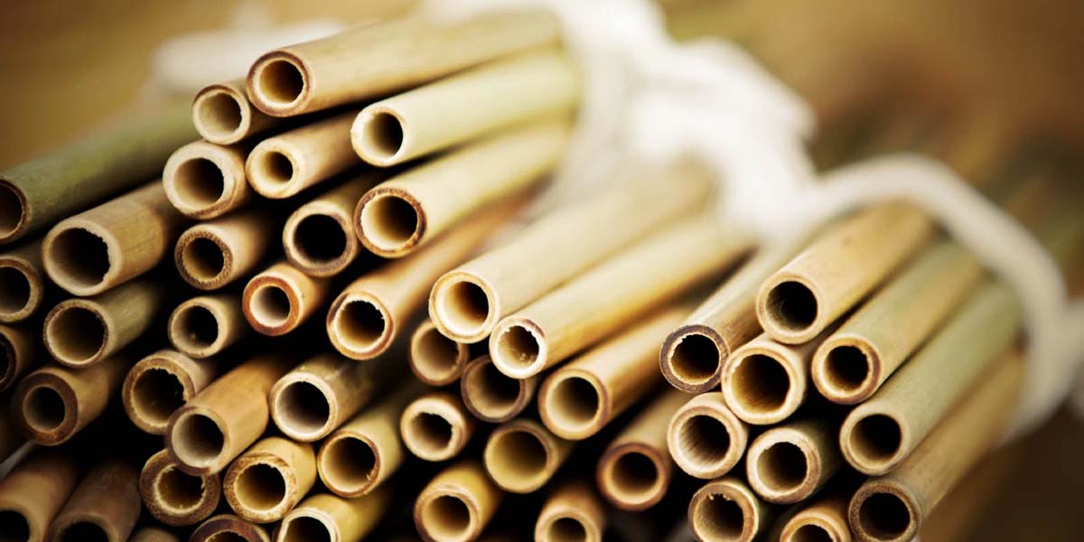 Cách vệ sinh ống hút tre đơn giản nhất