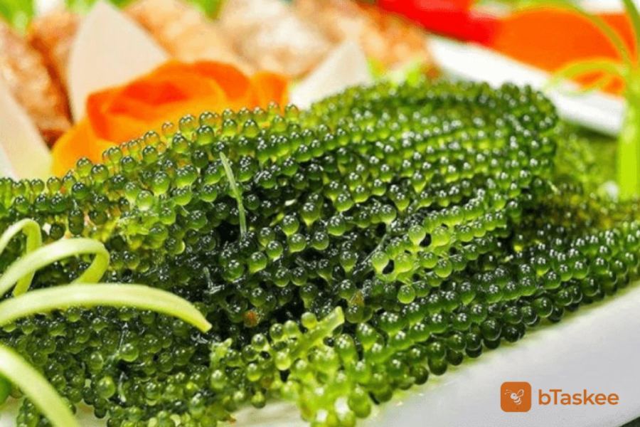 Cách Bảo Quản Rong Nho Tươi Giòn Đúng Chuẩn