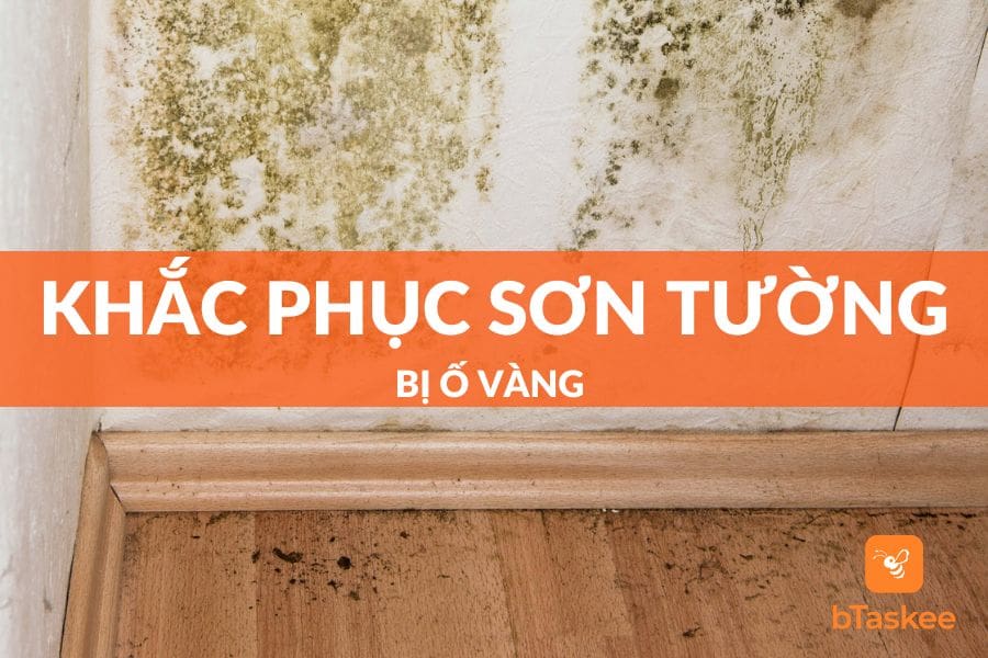 Cách Khắc Phục Sơn Tường Bị Ố Vàng Đơn Giản Hiệu Quả