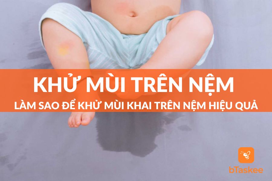Làm Sao Khử Mùi Khai Trên Nệm Đơn Giản Và Hiệu Quả?