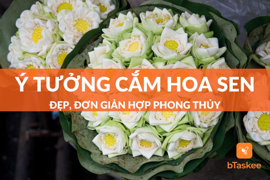 Hướng Dẫn 10+ Cách Cắm Hoa Sen Cực Đẹp, Nở Căng, Hoa Tươi Lâu