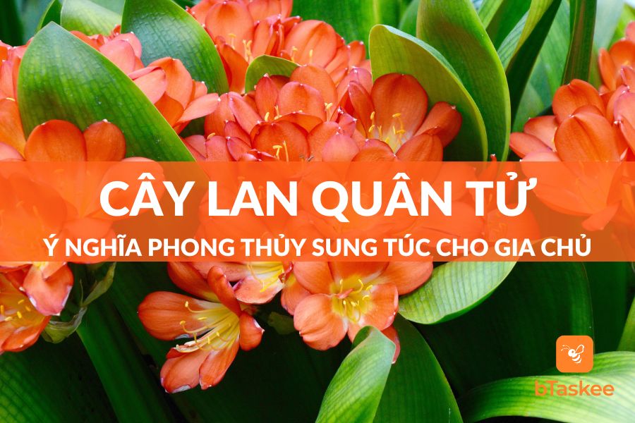 Cây Lan Quân Tử: Ý Nghĩa Phong Thủy Sung Túc Cho Gia Chủ