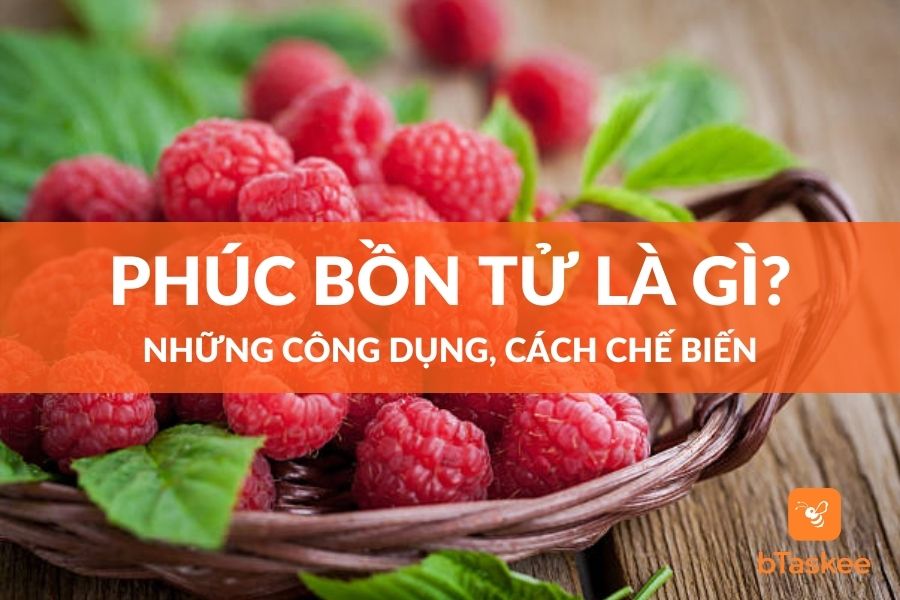 Phúc Bồn Tử Là Gì? Những Công Dụng Và Cách Chế Biến