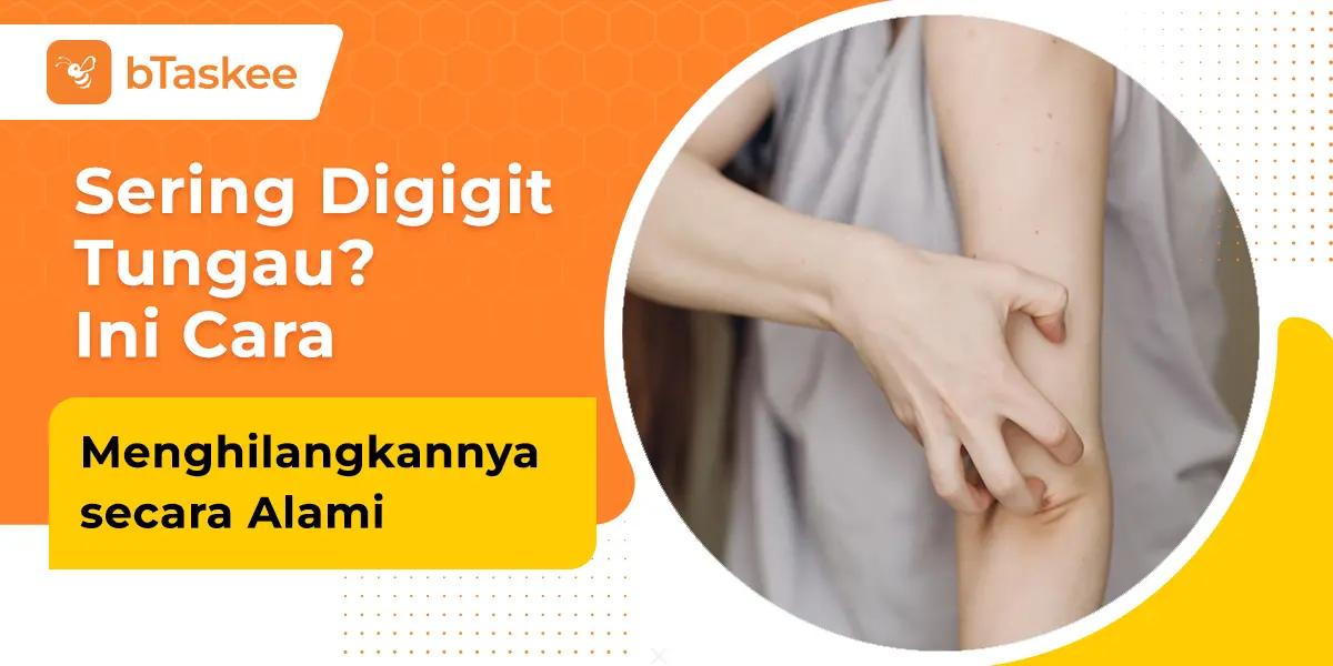 Sering Digigit Tungau? Ini Cara Menghilangkannya secara Alami