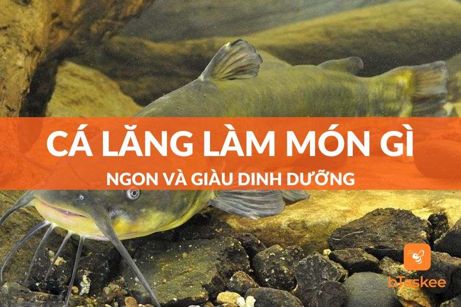 Cá Lăng Làm Món Gì Ngon? List 8 Món Ăn Ngon Chế Biến Từ Cá Lăng