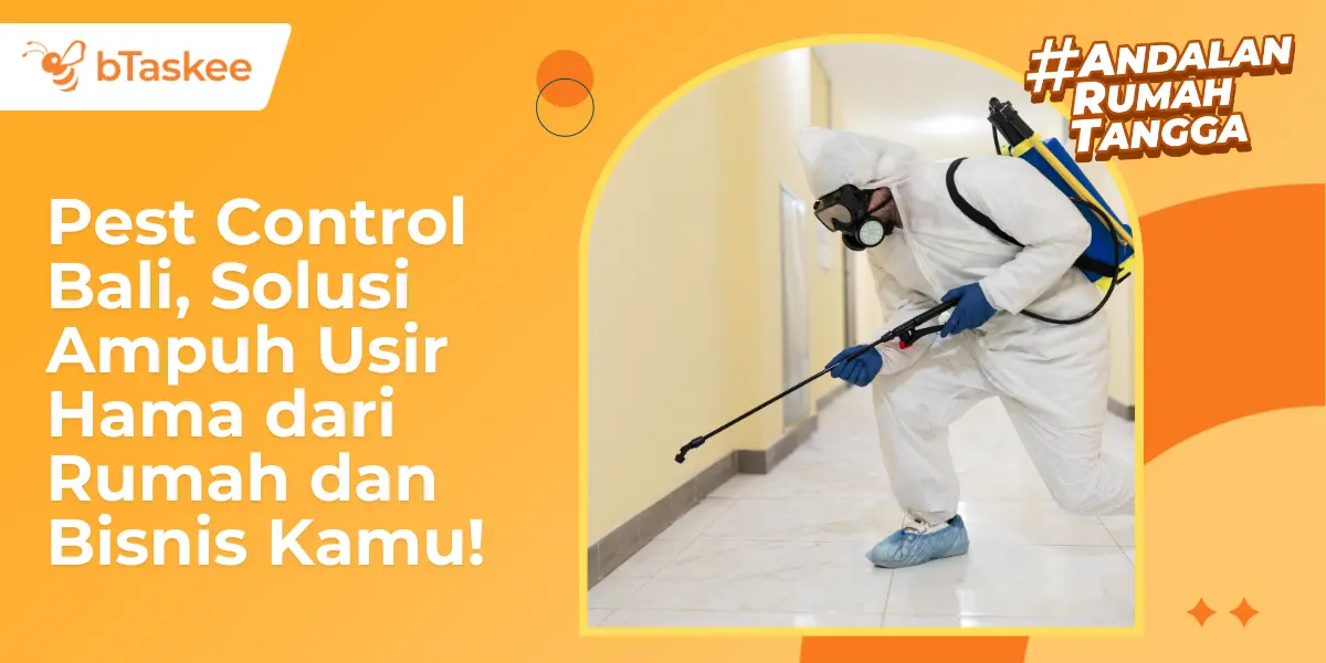 Pest Control Bali, Solusi Ampuh Usir Hama dari Rumah dan Bisnis Kamu!
