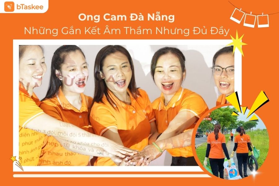 Ong Cam Đà Nẵng – Những Gắn Kết Âm Thầm Nhưng Đủ Đầy
