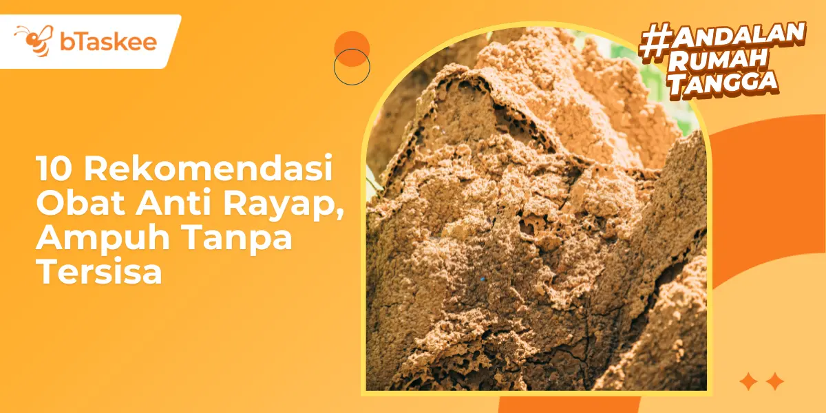 10 Rekomendasi Obat Anti Rayap, Ampuh Tanpa Tersisa