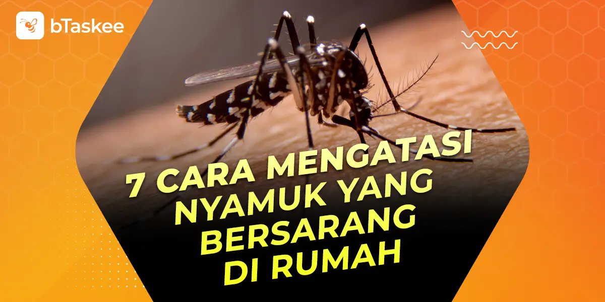 7 Cara Mengatasi Nyamuk yang Bersarang di Rumah