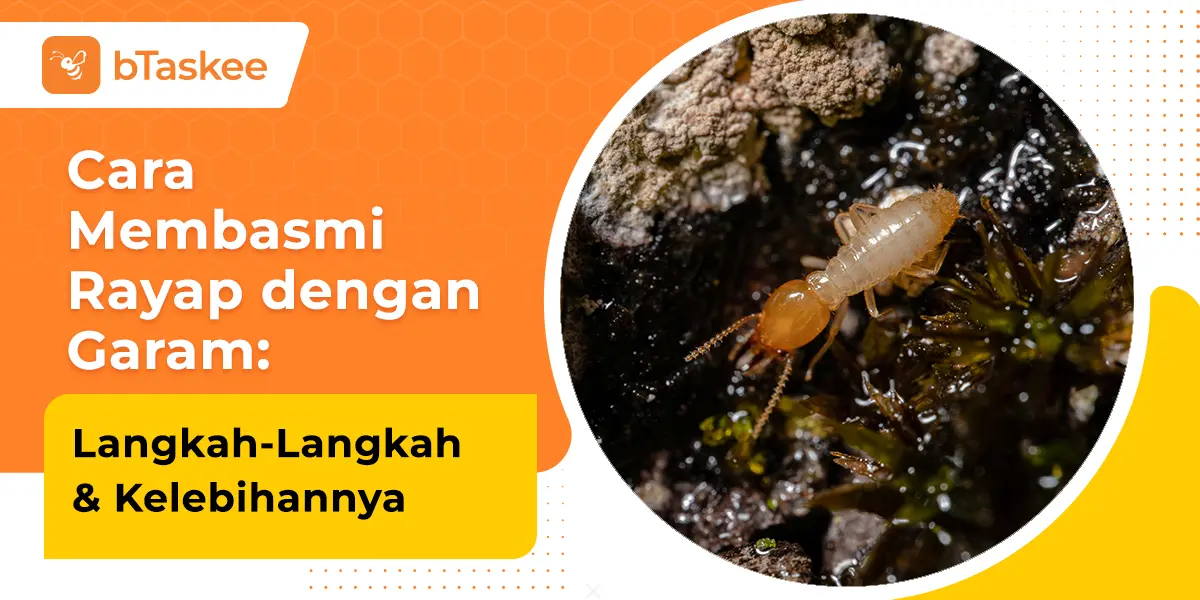 Cara Membasmi Rayap dengan Garam: Langkah-Langkah &amp; Kelebihannya