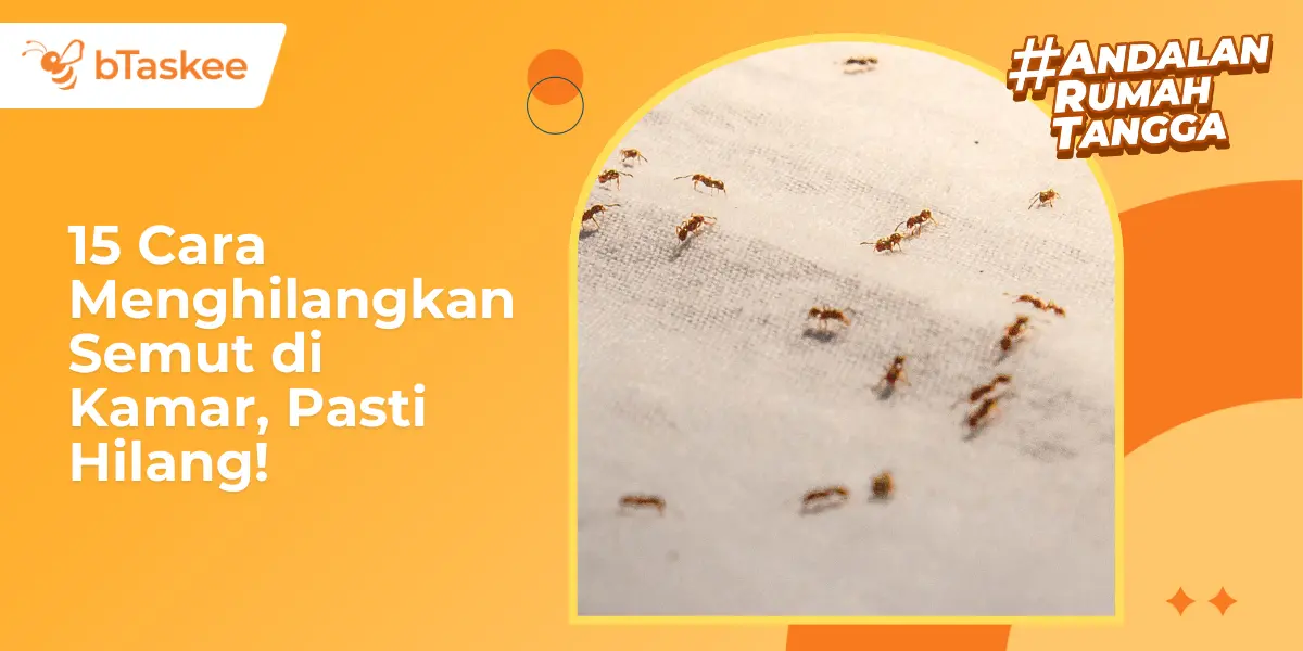 15 Cara Menghilangkan Semut di Kamar, Pasti Hilang!
