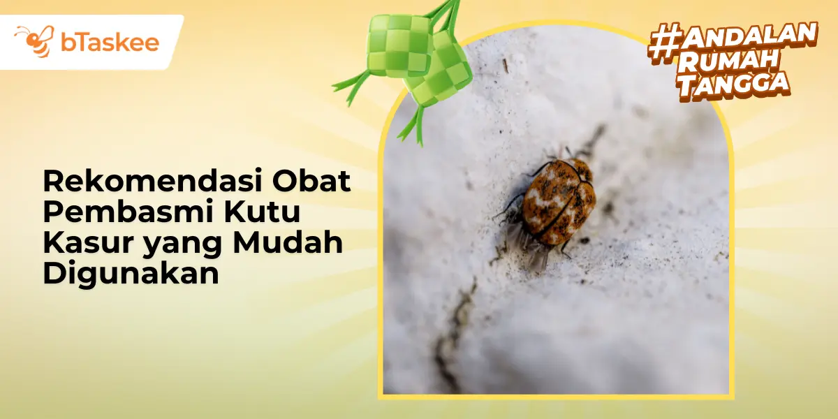 Rekomendasi Obat Pembasmi Kutu Kasur yang Mudah Digunakan