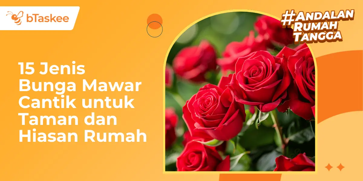 15 Jenis Bunga Mawar Cantik untuk Taman dan Hiasan Rumah