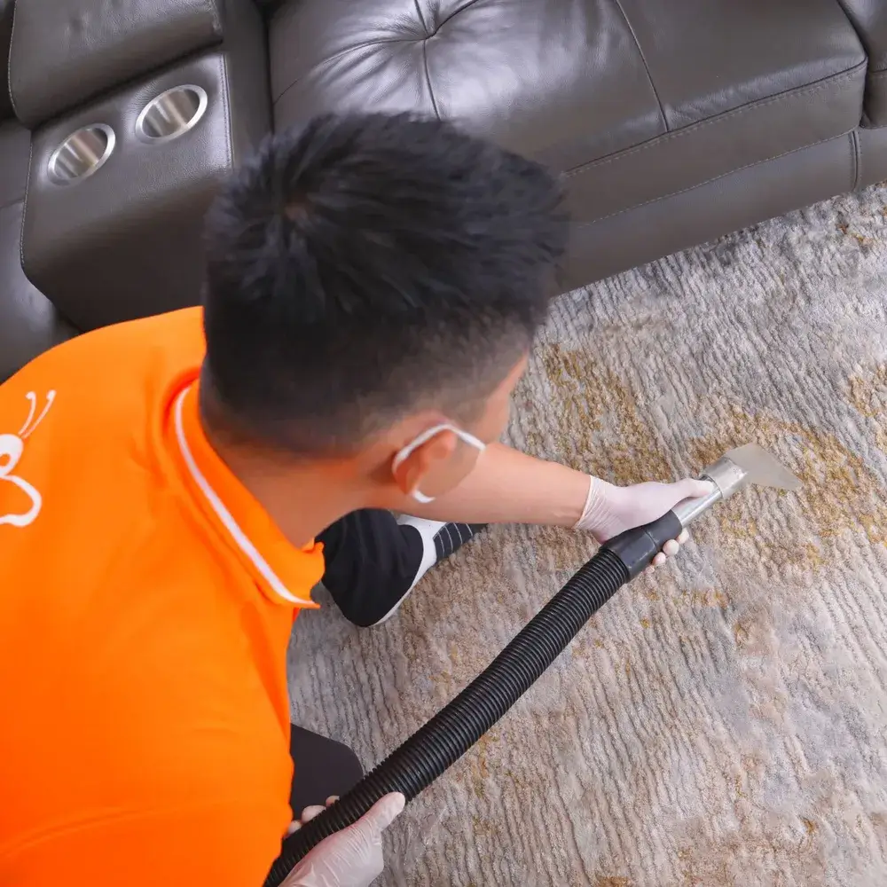 Quy Trình Vệ Sinh Thảm Văn Phòng