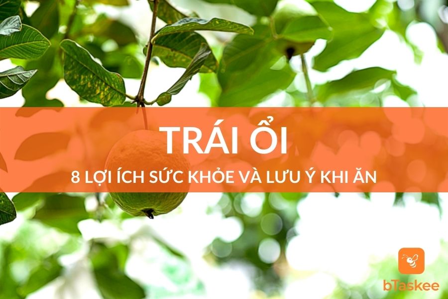 Trái Ổi: 8 Lợi Ích Trong Sức Khỏe Và Lưu Ý Khi Ăn Ổi