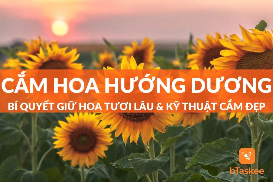 Cách Cắm Hoa Hướng Dương & Bí Quyết Giữ Hoa Tươi Lâu