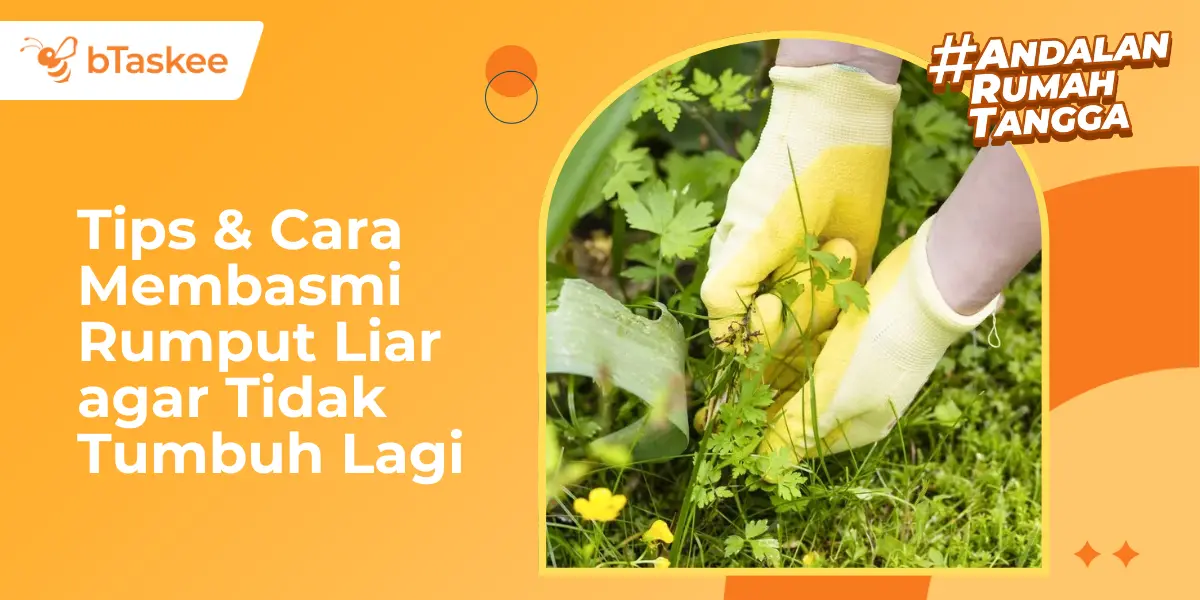 Tips &amp; Cara Membasmi Rumput Liar agar Tidak Tumbuh Lagi