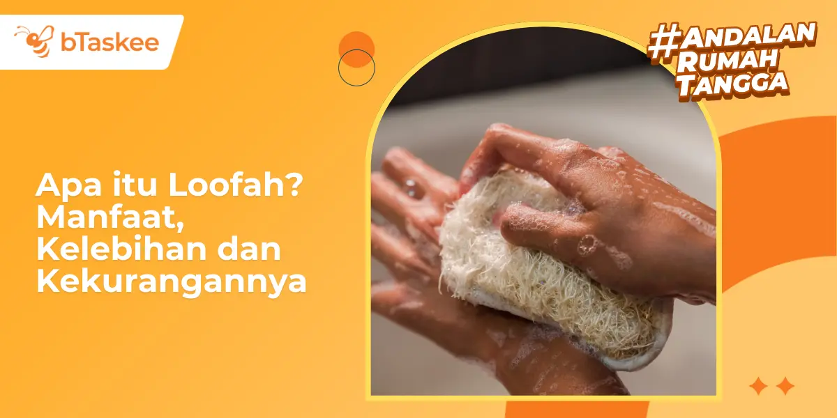 Apa itu Loofah? Manfaat, Kelebihan dan Kekurangannya