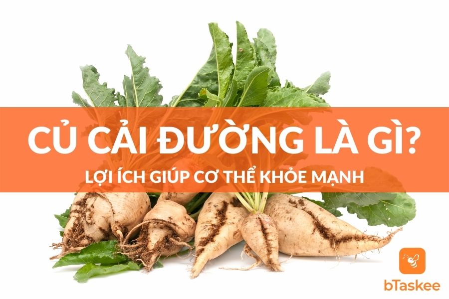 Củ Cải Đường Là Gì? Những Lợi Ích Giúp Cơ Thể Khỏe Mạnh