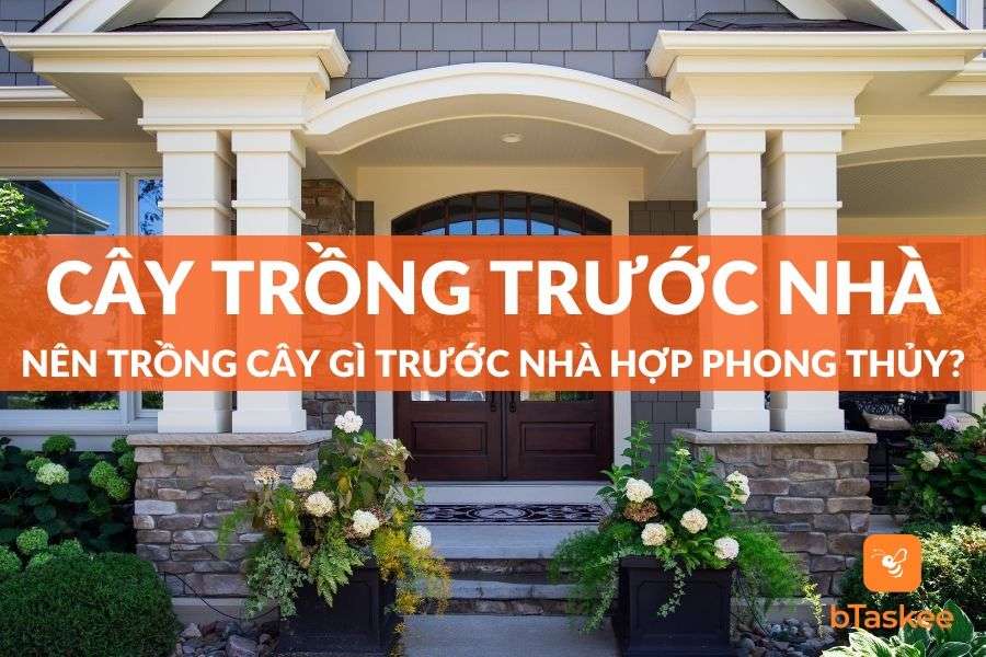 Nên Trồng Cây Gì Trước Nhà? 12 Loại Cây Phong Thủy Tốt