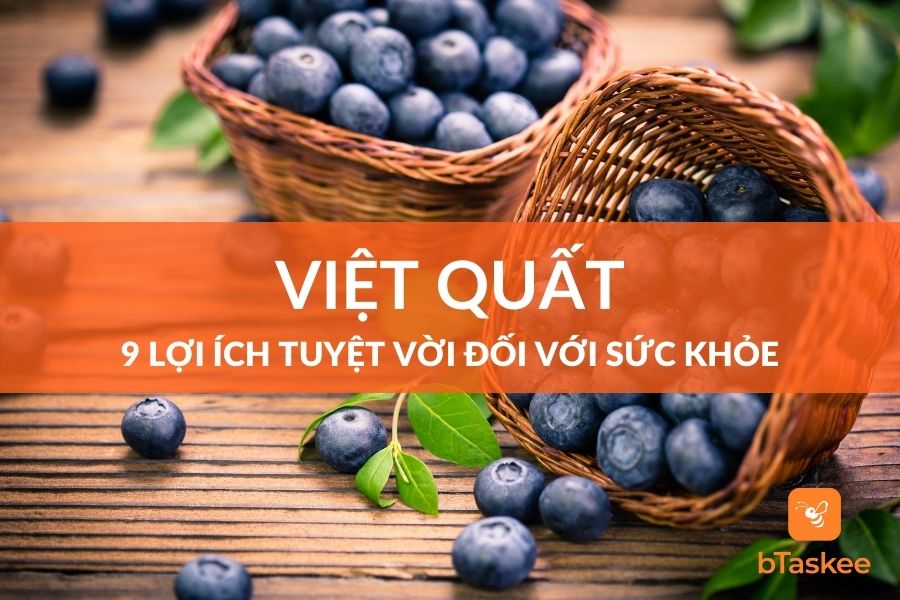 Việt Quất Và 9 Lợi Ích Tuyệt Vời Đối Với Sức Khỏe