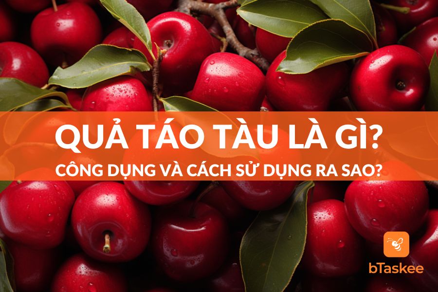 Quả Táo Tàu Là Gì? Công Dụng Sức Khỏe Và Liều Lượng Ra Sao?