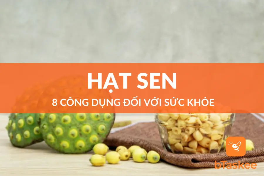 Hạt Sen Và 8 Công Dụng Tuyệt Vời Đối Với Sức Khỏe