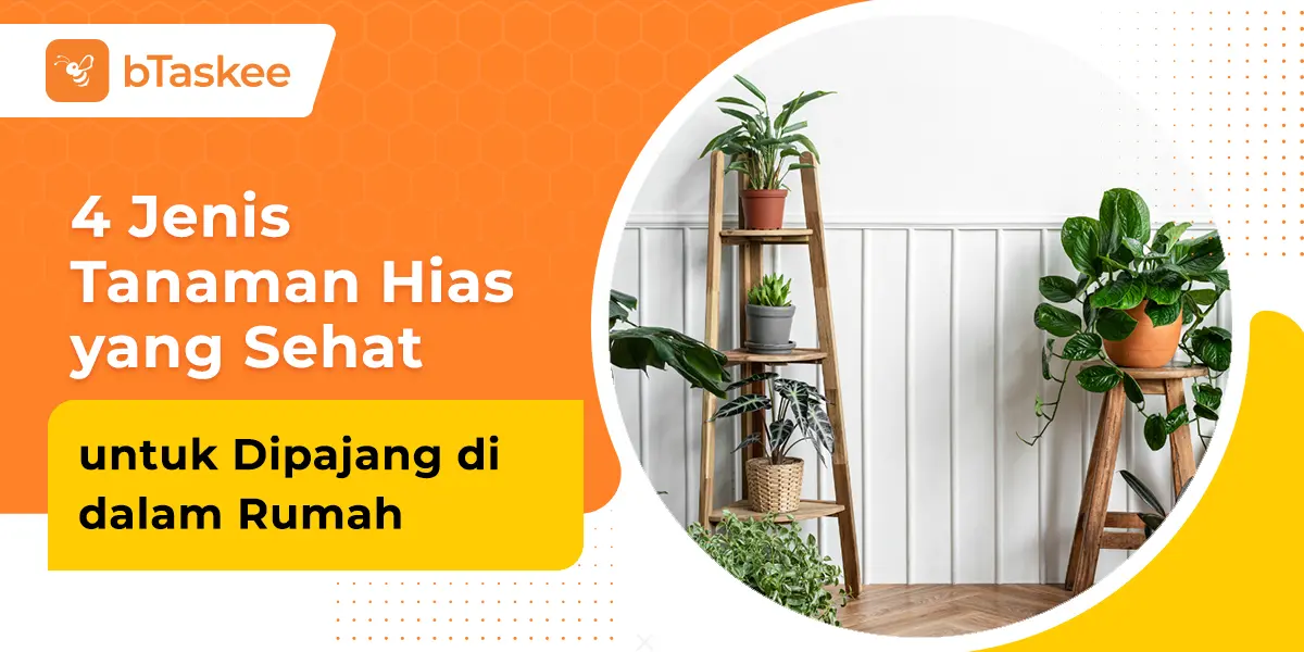4 Jenis Tanaman Hias yang Sehat untuk Dipajang di dalam Rumah