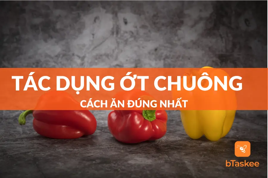 Ăn Ớt Chuông Có Tác Dụng Gì? Cách Ăn Đúng Nhất