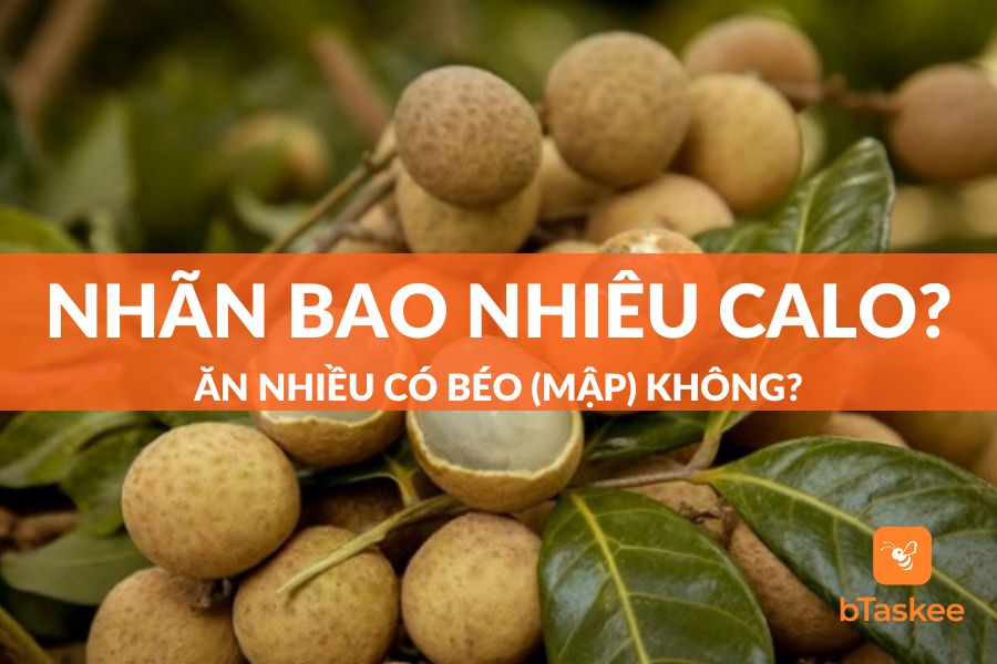 Trái Nhãn Bao Nhiêu Calo? Ăn Nhiều Có Mập (Béo) Không?