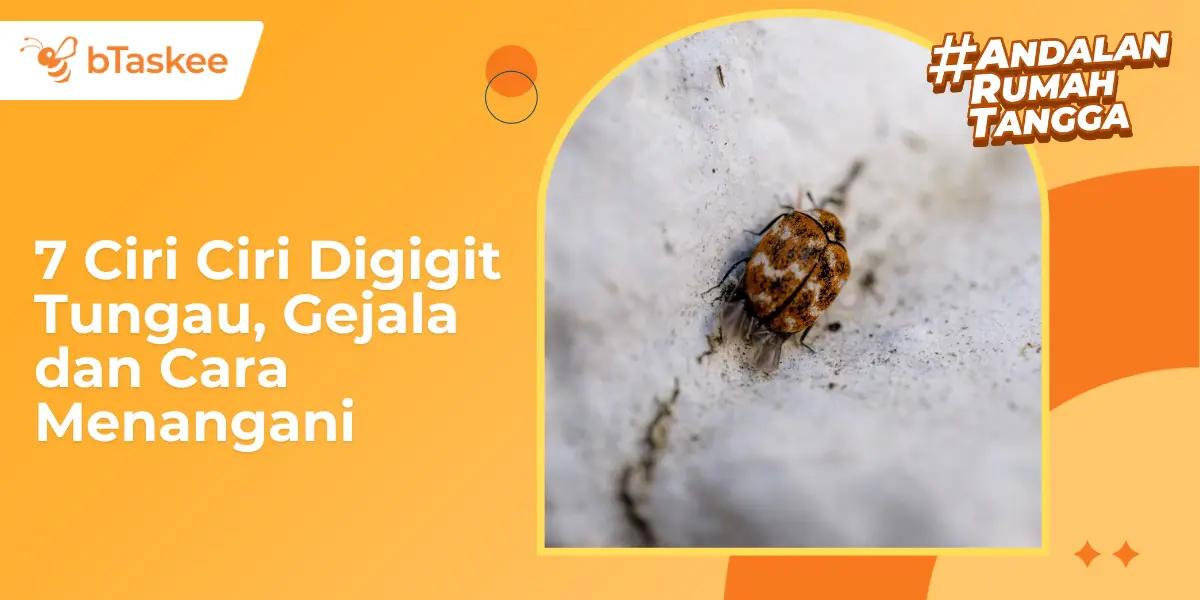 7 Ciri-Ciri Digigit Tungau, Gejala dan Cara Menangani