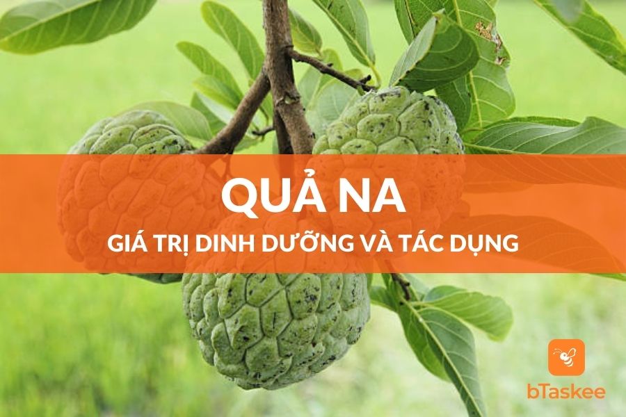 Quả Na: Giá Trị Dinh Dưỡng Và Tác Dụng Đối Với Sức Khỏe