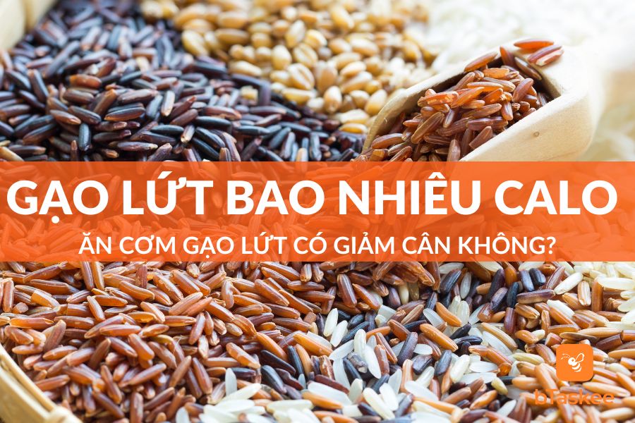Gạo Lứt Bao Nhiêu Calo? Ăn Cơm Gạo Lứt Có Giảm Cân Không?