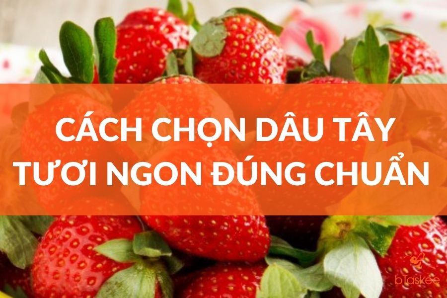 6 Cách Chọn Dâu Tây Tươi Ngon, Đúng Chuẩn