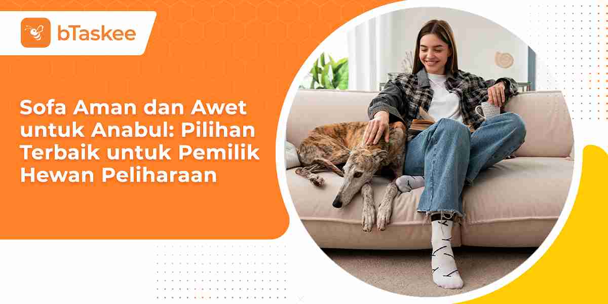 Sofa Aman dan Awet untuk Anabul: Pilihan Terbaik untuk Pemilik Hewan Peliharaan