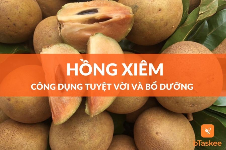 Hồng Xiêm: Công Dụng Tuyệt Vời Từ Loại Trái Cây Thơm Ngon