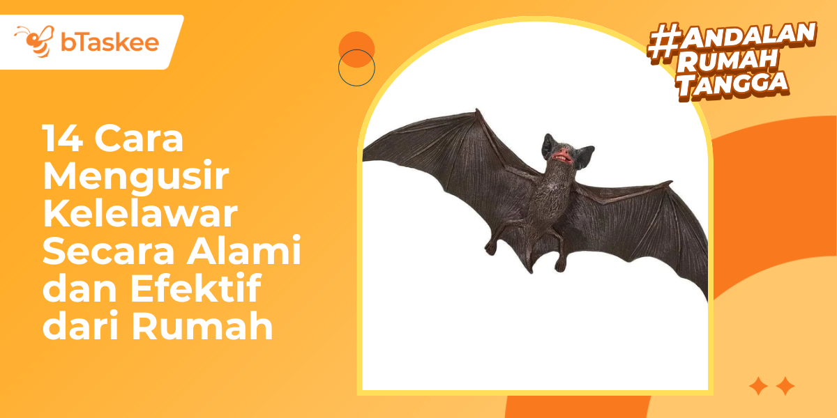 14 Cara Mengusir Kelelawar Secara Alami & Efektif dari Rumah