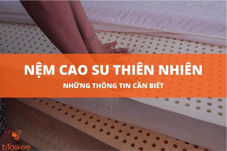 Những Thông Tin Cần Biết Về Nệm Cao Su Thiên Nhiên