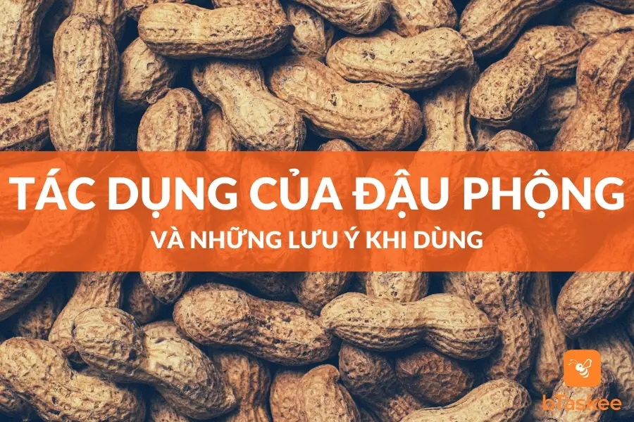 Đậu Phộng: Công Dụng Và Những Lưu Ý Khi Dùng