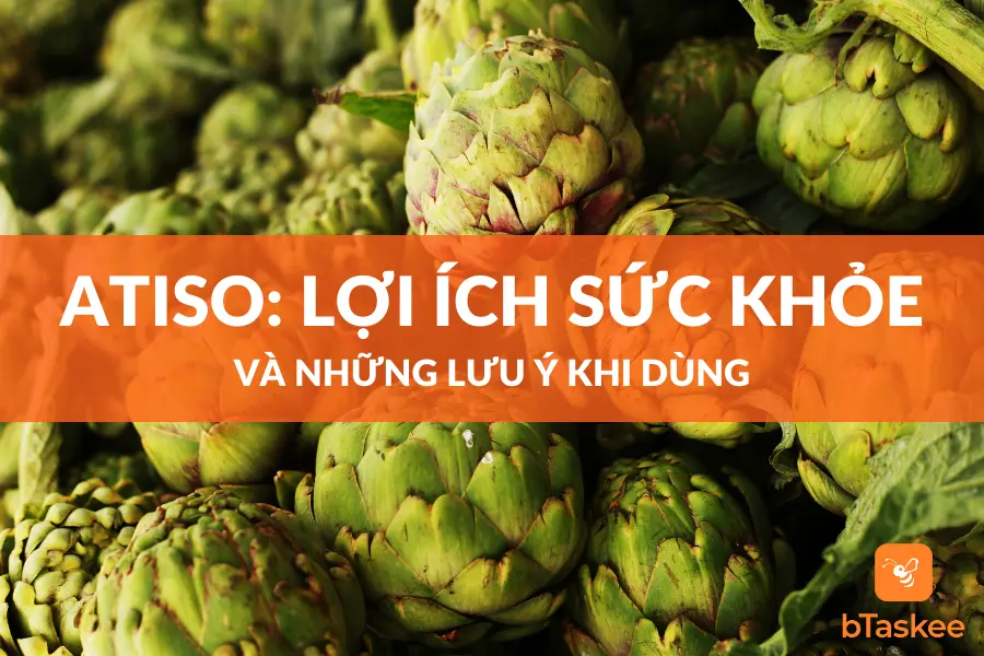 Cây Atiso: Công Dụng Và Những Lưu Ý Khi Dùng