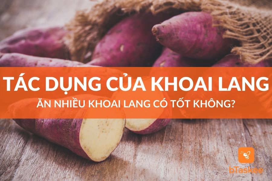 Tác Dụng Của Khoai Lang: Ăn Nhiều Khoai Có Tốt Không?