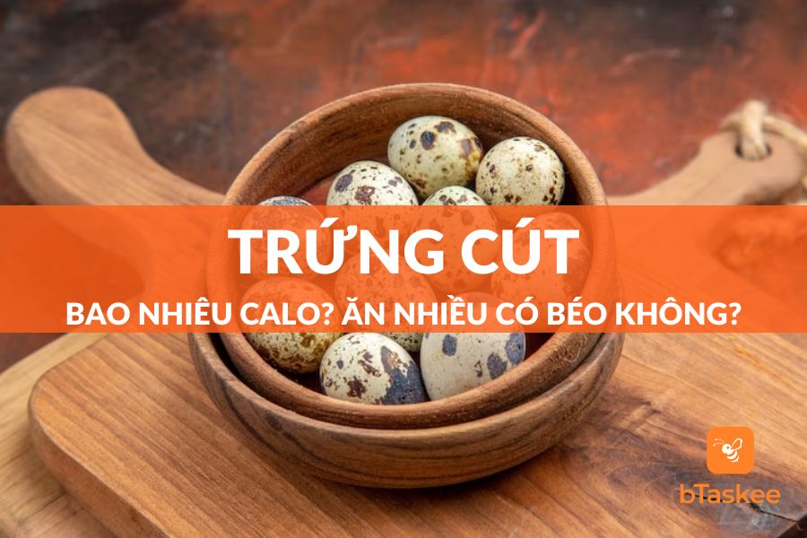 Trứng Cút Bao Nhiêu Calo? Ăn Trứng Cút Có Béo Không?