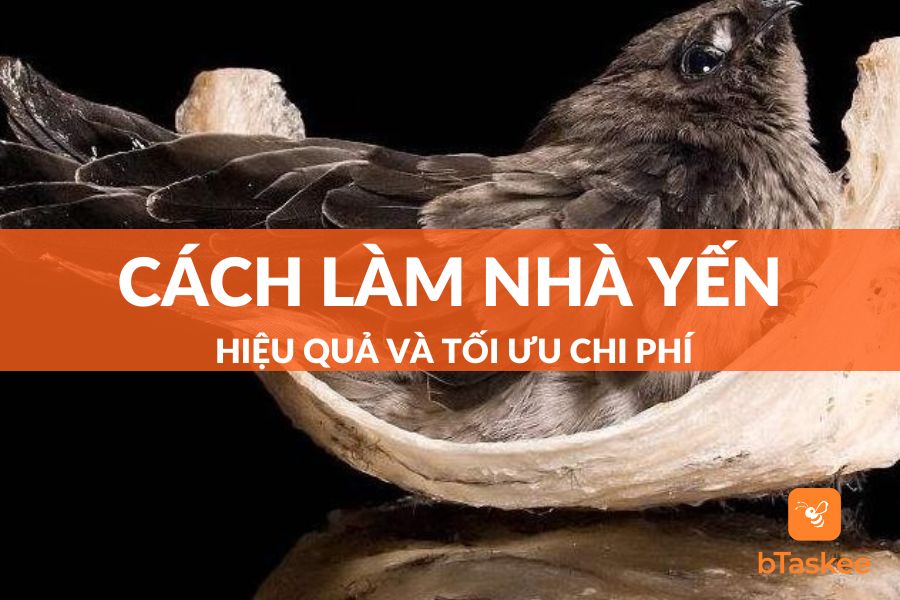 Cách Làm Nhà Yến Hiệu Quả Và Tối Ưu Chi Phí Nhất