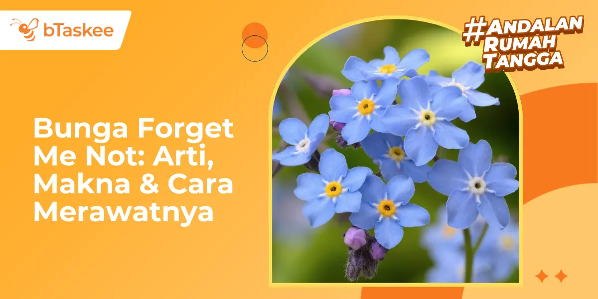 Bunga Forget Me Not: Arti, Makna, dan Cara Merawatnya