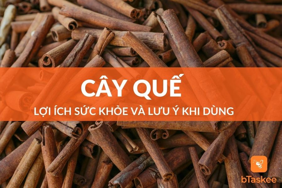 Cây Quế: Thảo Dược Tốt Cho Sức Khỏe Và Lưu Ý Khi Dùng