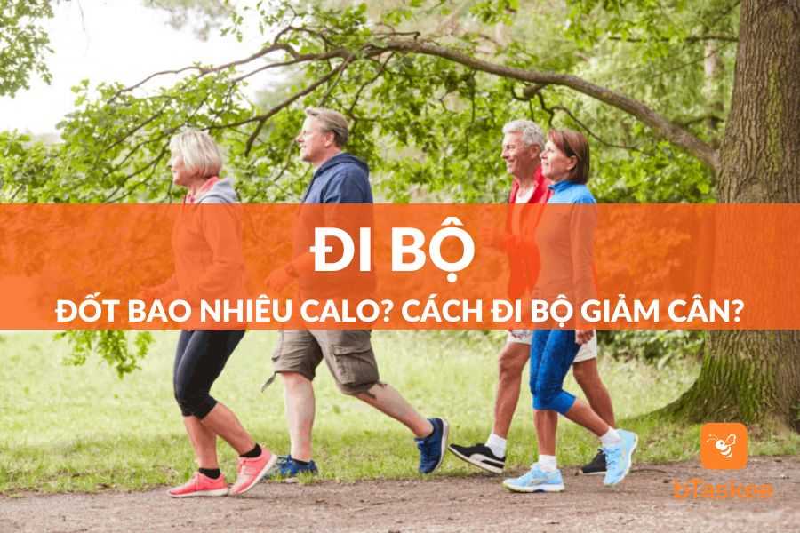 Đi Bộ Đốt Bao Nhiêu Calo? Bật Mí Cách Đi Bộ Giảm Cân Hiệu Quả