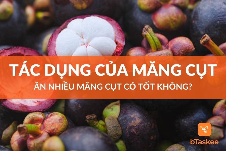 Măng Cụt Có Tác Dụng Gì? Ăn Nhiều Măng Cụt Có Tốt Không?