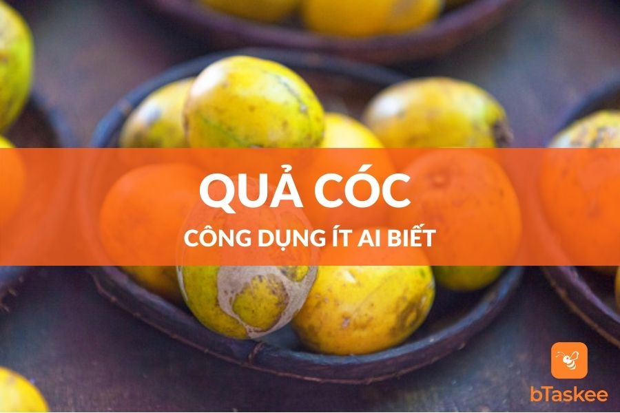 Công Dụng Quả Cóc Đối Với Sức Khỏe Và Làm Đẹp