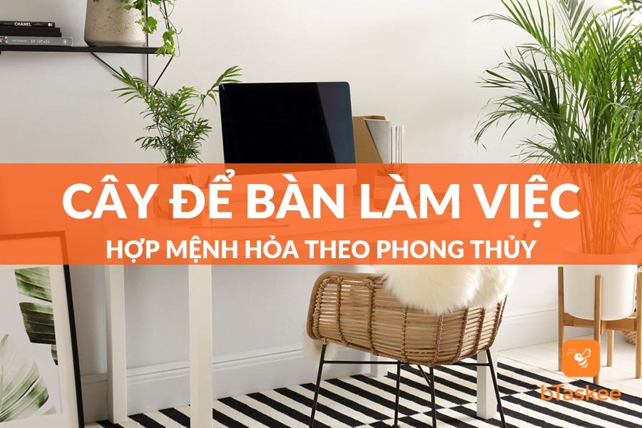 Gợi Ý 8 Loại Cây Để Bàn Làm Việc Hợp Mệnh Hỏa Nhất 2023