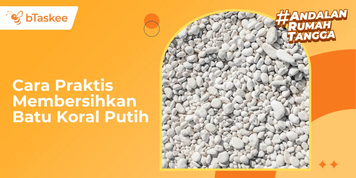 Cara Praktis Membersihkan Batu Koral Putih dari Lumut & Kotoran
